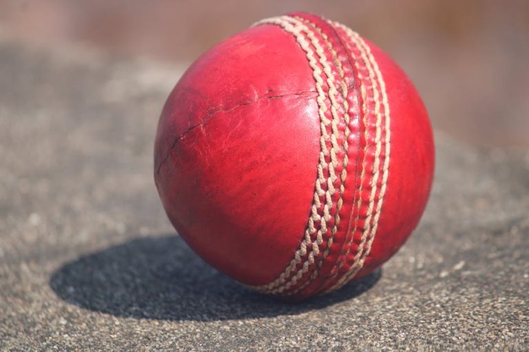 Why Teamwork is Crucial in Competitive Cricket