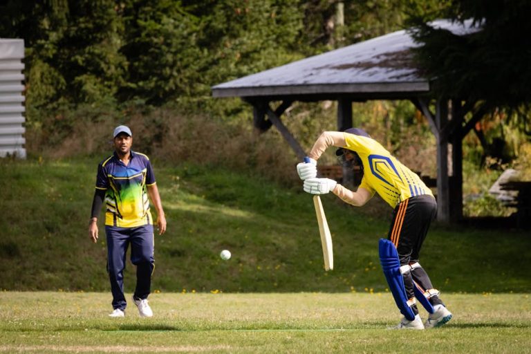 Tips for Hosting an Unforgettable Backyard Cricket Game